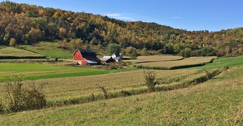 small farm surrounded by green fields against a backdrop of autumn leaves and blue sky