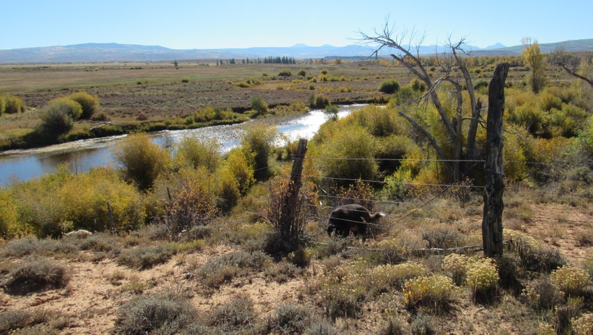 Creek through ranch