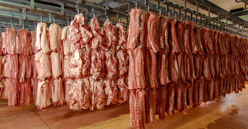 Pork cuts hang in refrigerated storage at a slaughter house Pork cuts hang in refrigerated storage at a slaughter house