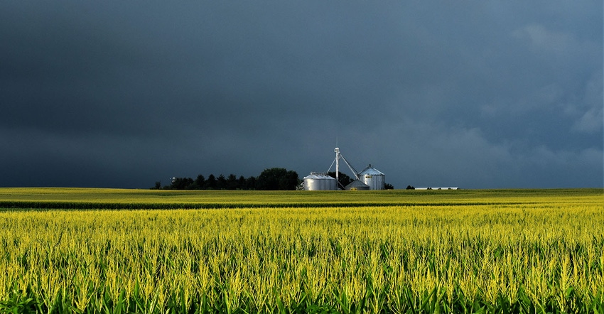 rural cornfield in Iowa