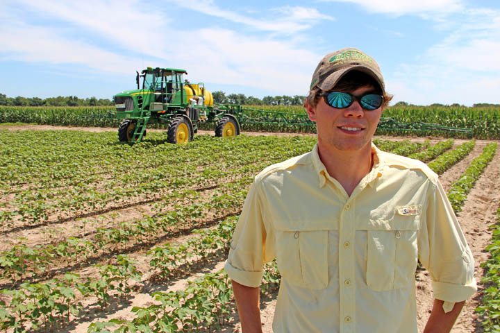 Delta crops endure as heat wears on — photo gallery | Farm Progress