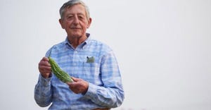 Man holding vegetable in a field