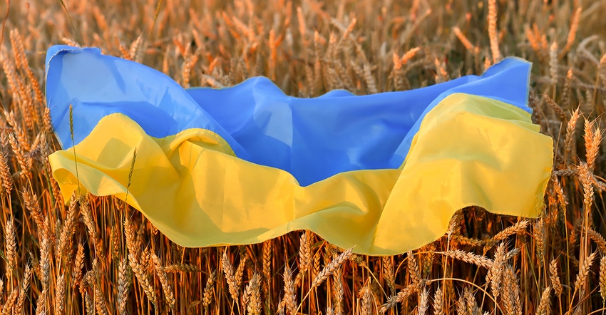 Flag of Ukraine is blue-yellow lying on ripe wheat