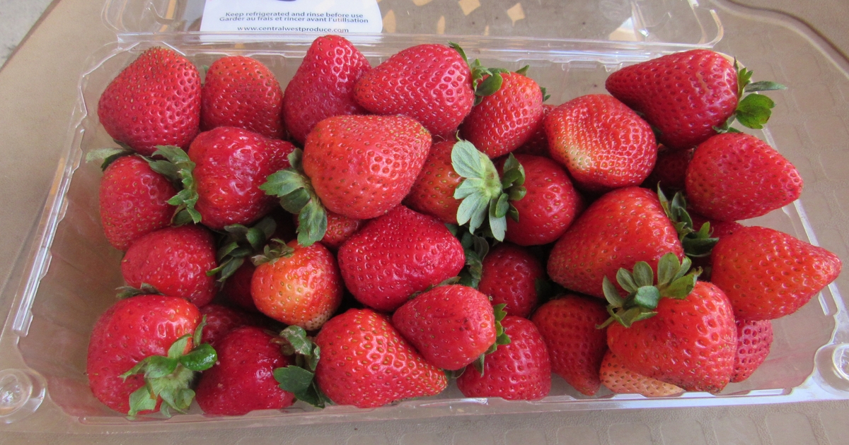 Uc Examines Cost Of Growing Strawberries