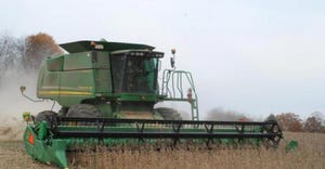 9.24 soybean-harvest-16-sprucevale-010_3.jpg