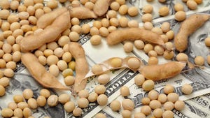 Soybeans on paper money