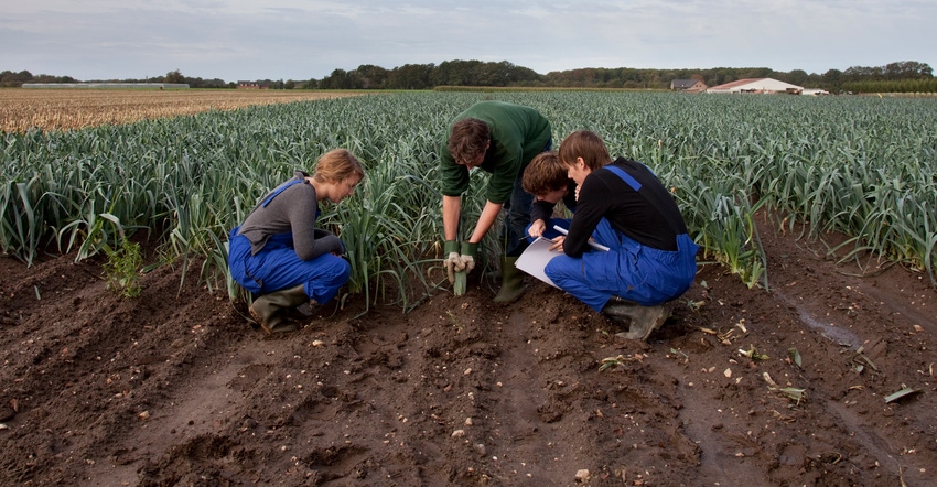 Students observing in field