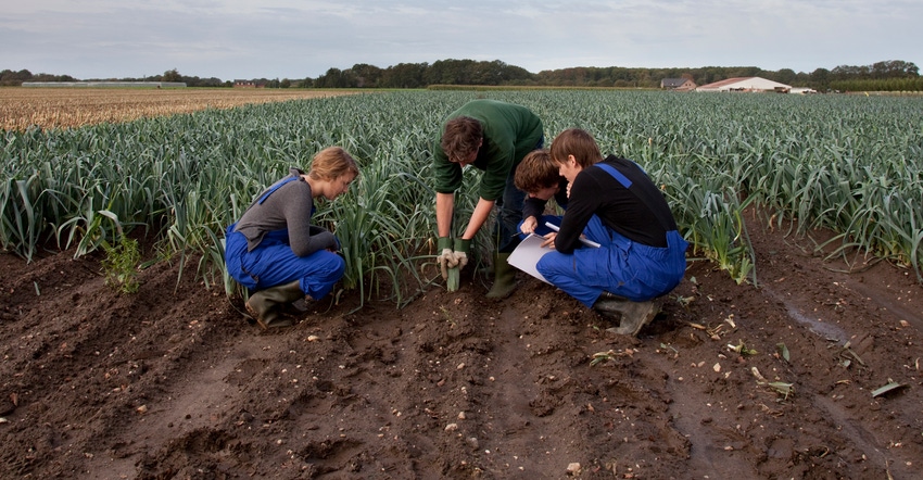 Students observing in field Students observing in field
