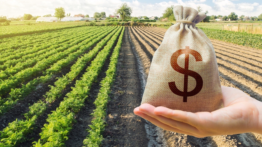 bag of money in front of a field of crops