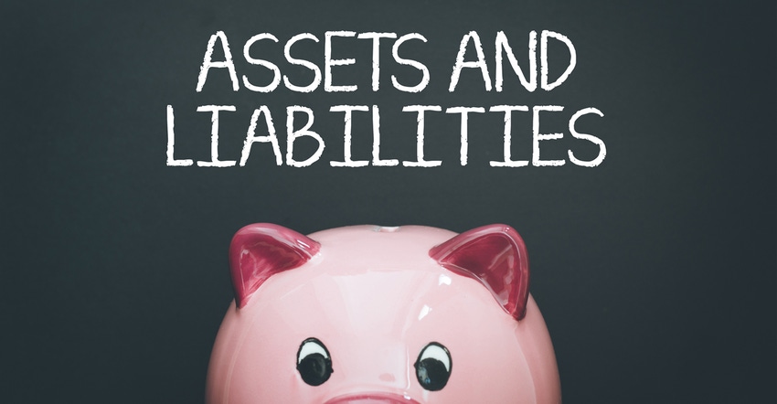 A piggy bank with the words assets and liabilities above it. A piggy bank with the words assets and liabilities above it.