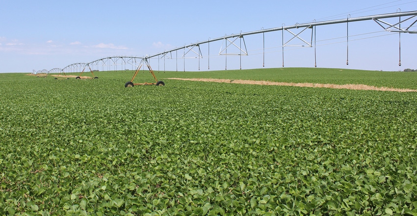 Irrigation equipment in soybean field.