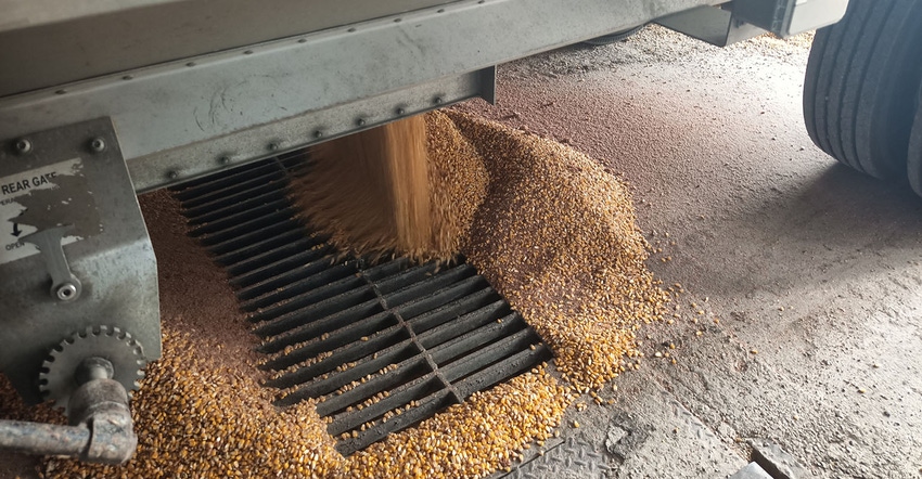 unloading grain