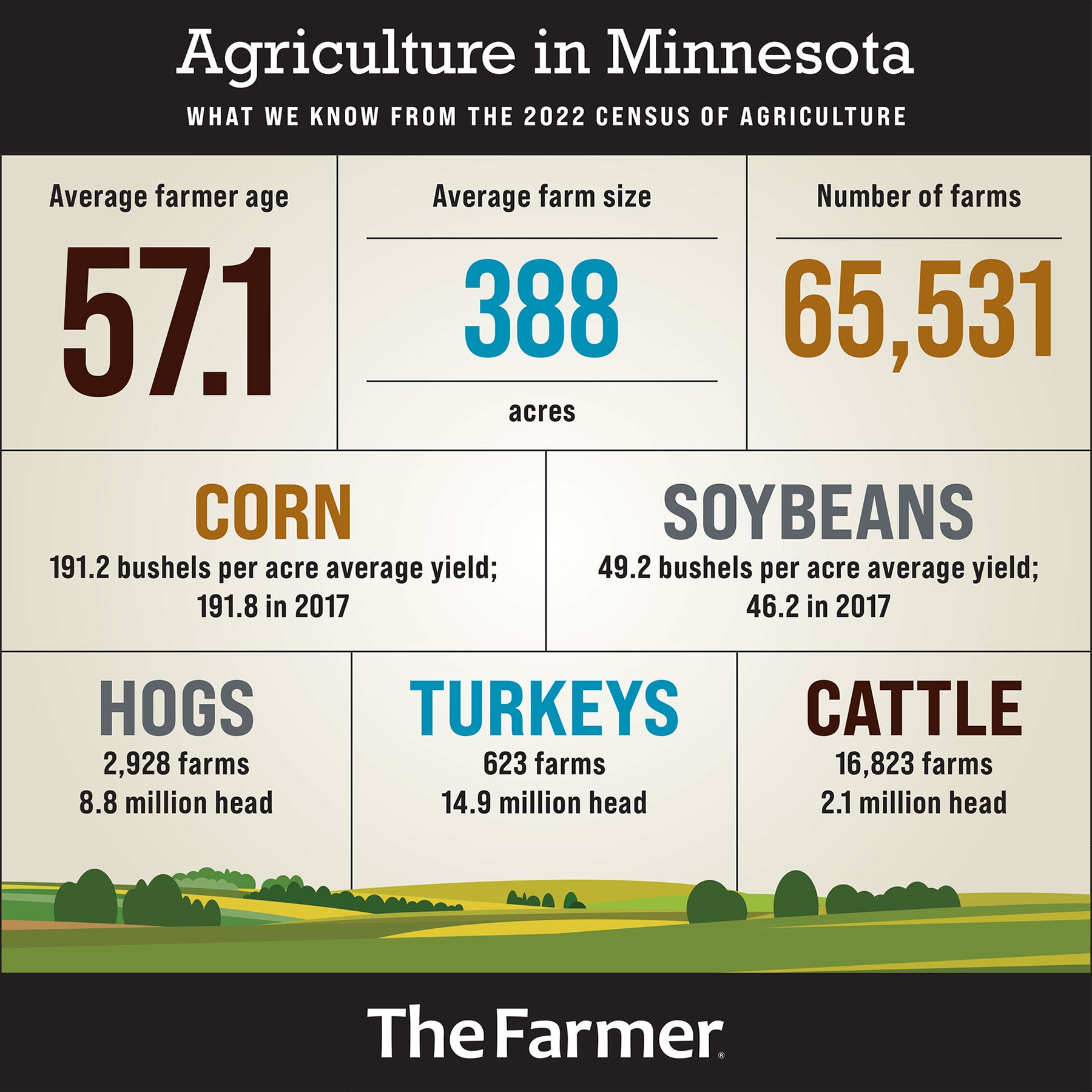 An infographic detailing agriculture in Minnesota
