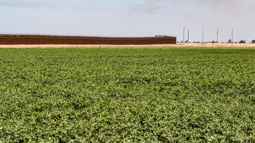 Border wall Border wall