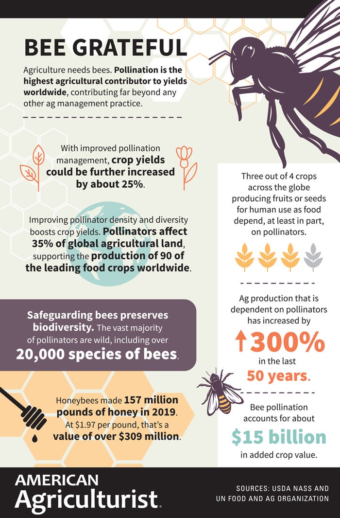 Bee Grateful bee infographic