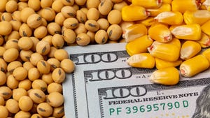 Soybeans and corn kernels surrounding U.S. currency