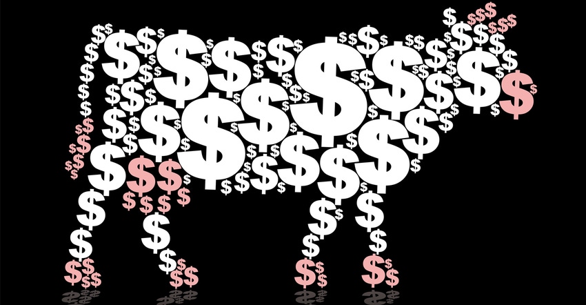 Cash cow composed of dollar symbols Cash cow composed of dollar symbols