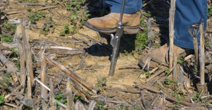 Foot pushing soil sampler probe into ground to remove a soil sample