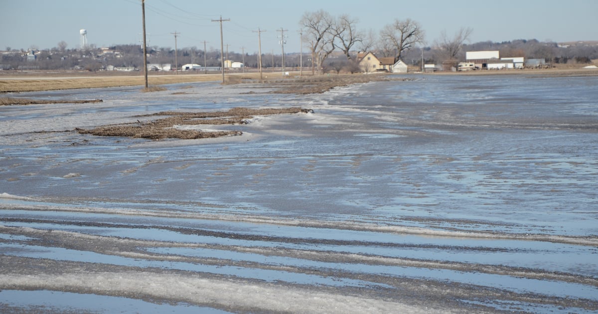 Funds available to help dispose of dead livestock