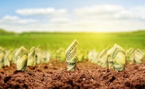 dollar bills growing from ground concept