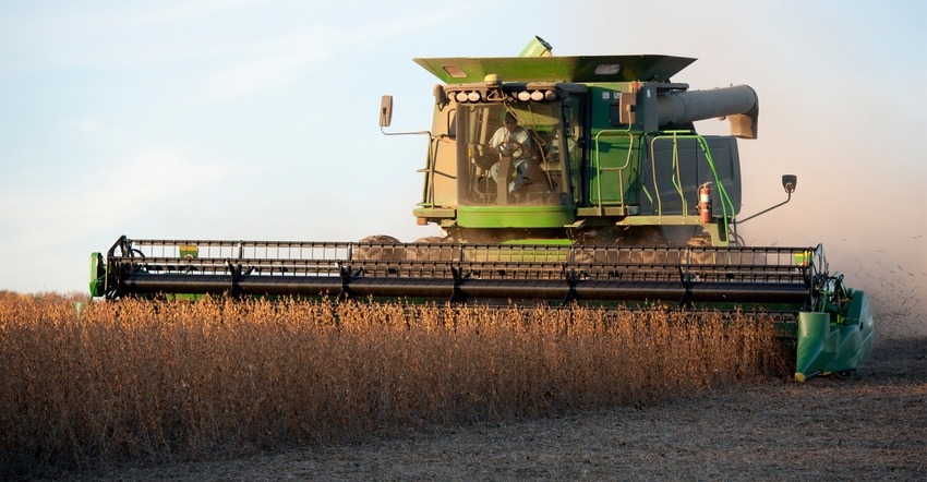 Soybeans being harvested