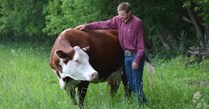 Wyatt Lawrence stands next to Hereford heifer