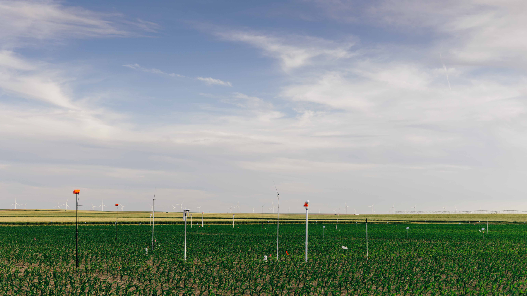Here’s the dirt on soil moisture sensors