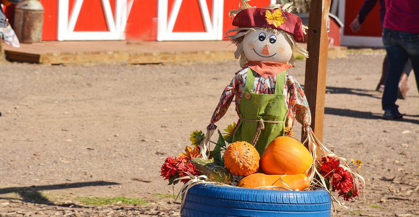 swfp-shelley-huguley-scarecrow-pumpkins.jpg