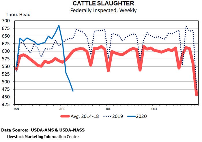 cattle-slaughter-graph.jpg
