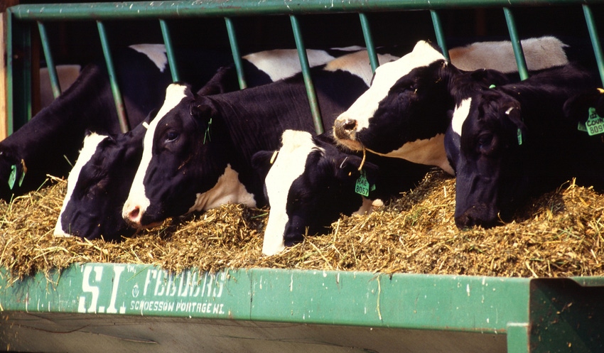 WFP-ARS-cows-feed.jpg WFP-ARS-cows-feed.jpg