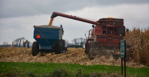 Corn is harvested with rainy weather on the horizon