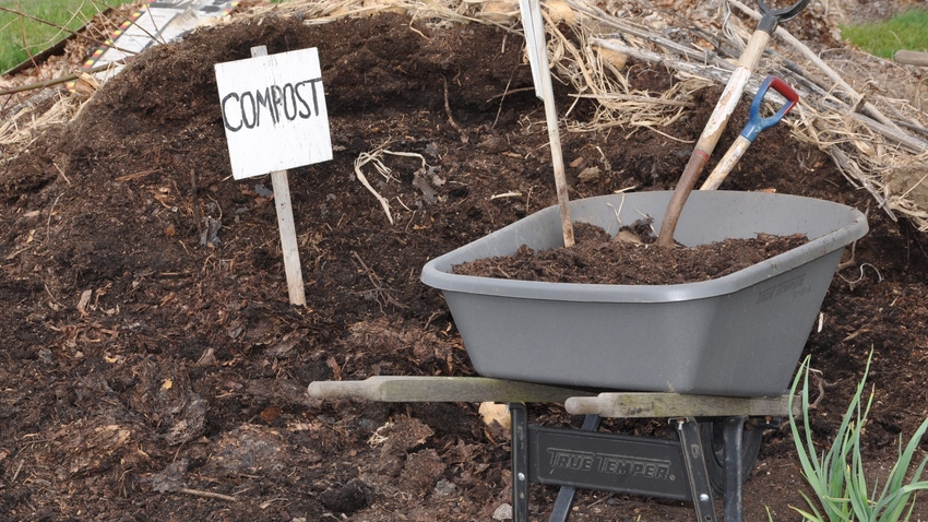 Compost Compost