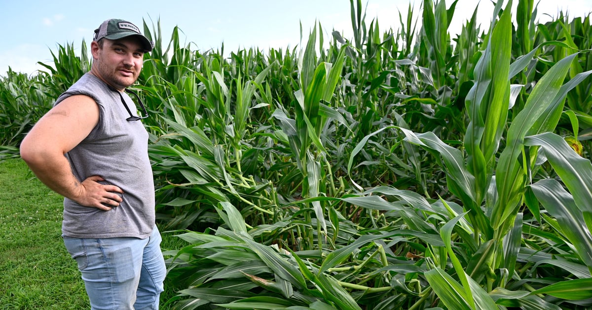 Storms bring damage and relief to Pennsylvania farm