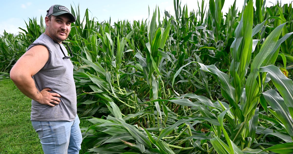 Storms bring damage and relief to Pennsylvania farm