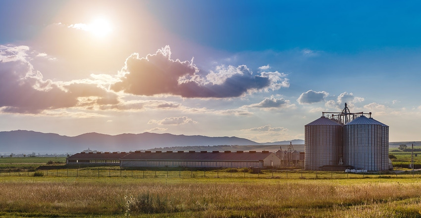 New modern pig farm exterior in countryside