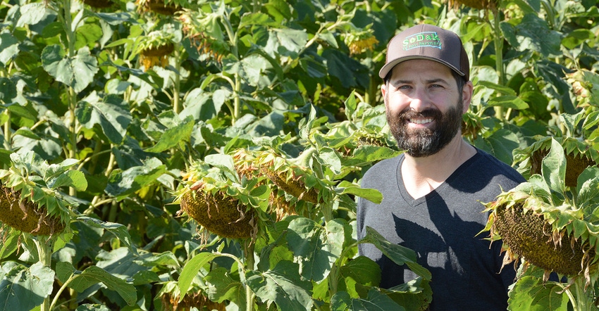 Lance Hourigan surrounded by sunflowers