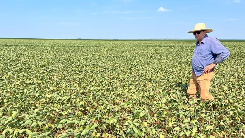 Farmer standing in dry soybean field