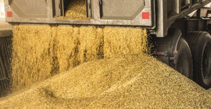 grain pouring out of back of truck