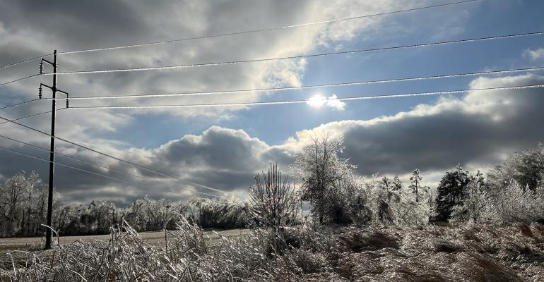 Rolling blackouts during a recent storm highlight the vulnerability of our power grid.