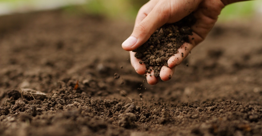 hand checking soil hand checking soil