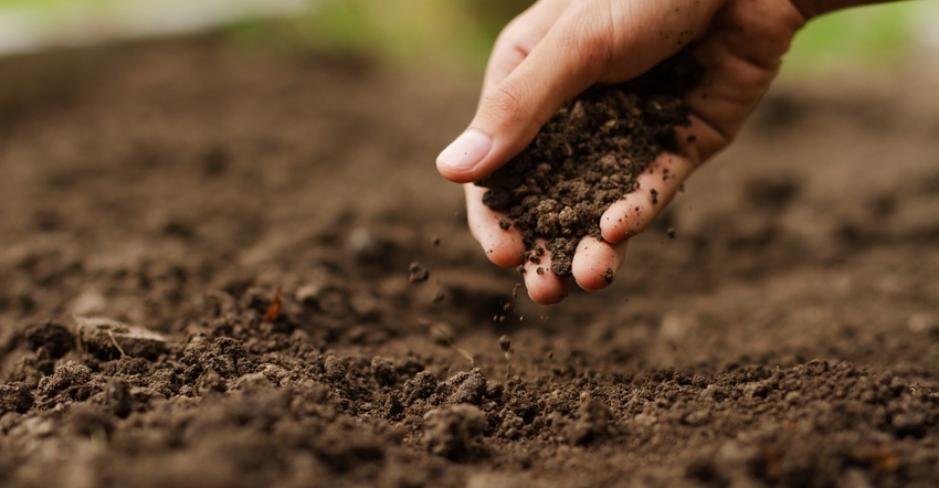 hand checking soil