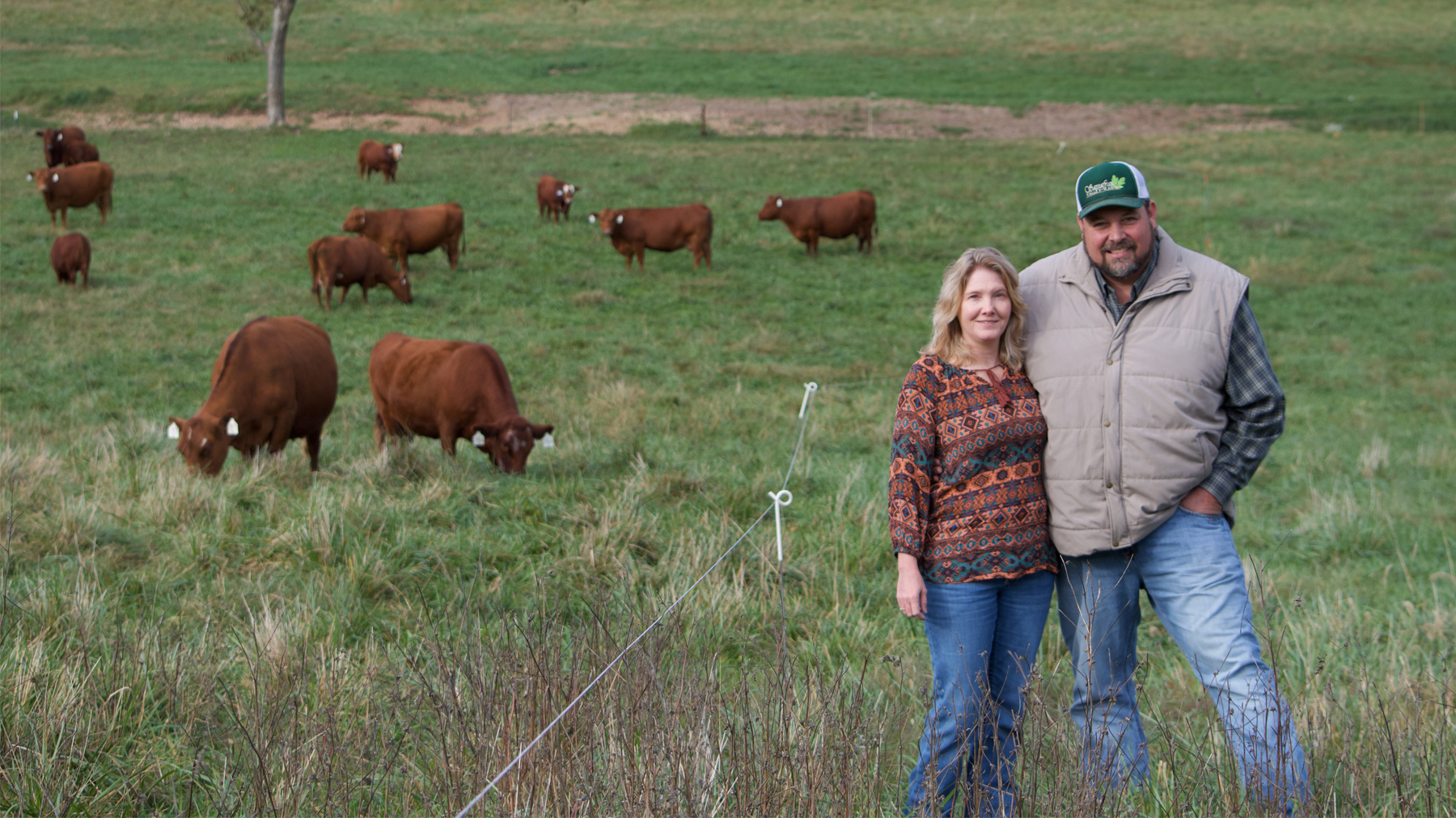 Cattle producers extol South Poll cattle’s disposition, hardiness