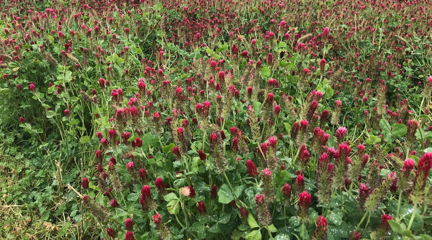 WFP-OSU-cover-crop.jpg WFP-OSU-cover-crop.jpg