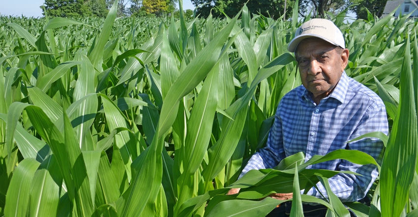 Dave Nanda in shoulder-high cornfield