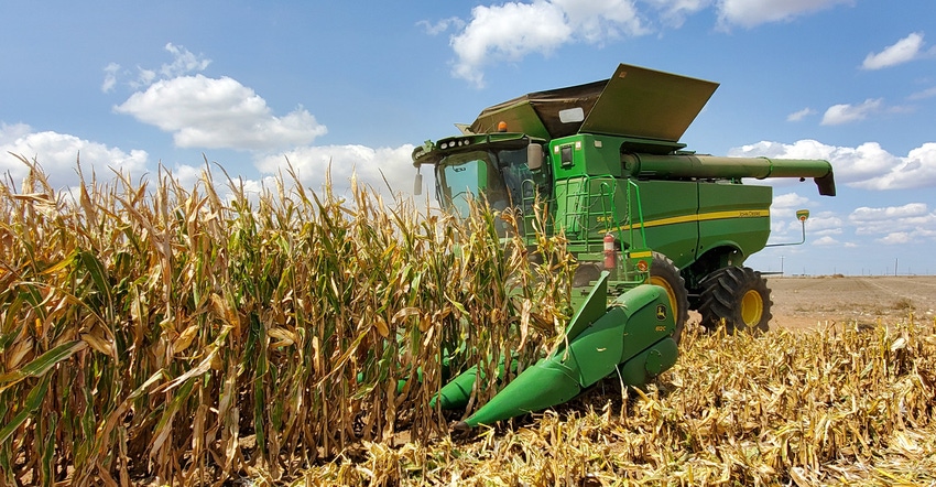swfp-shelley-huguley-jeff-terrell-corn-20-rows.jpg swfp-shelley-huguley-jeff-terrell-corn-20-rows.jpg