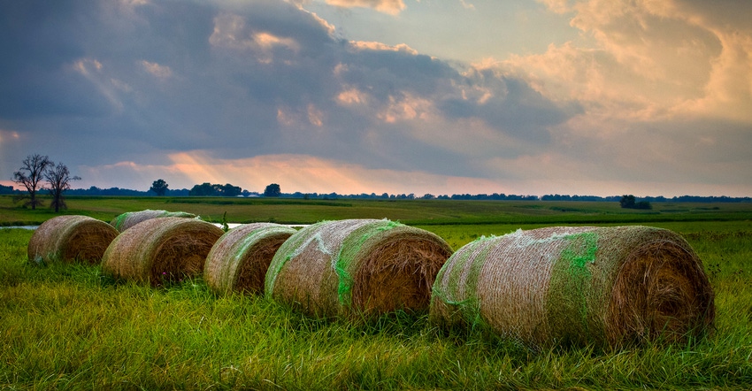 round hay bales in pasture at sunset