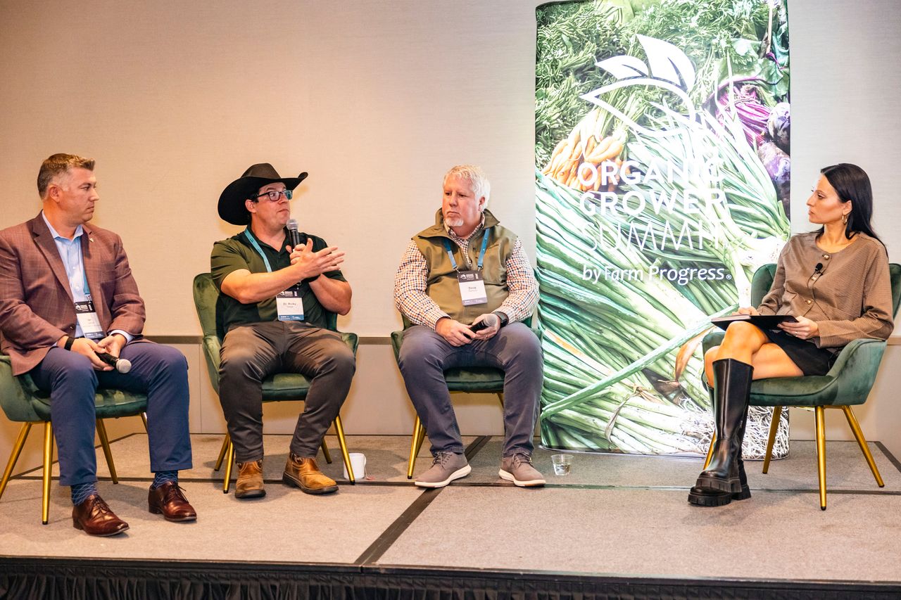 Feral hogs: how quickly can they reproduce?