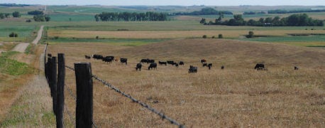 write_drought_provisions_pasture_lease_1_635567516860676000.jpg