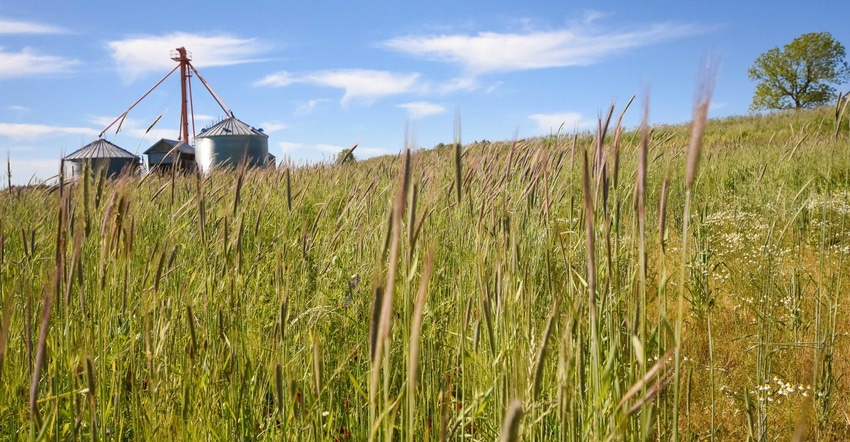 Cover crop landscape USDA.jpg