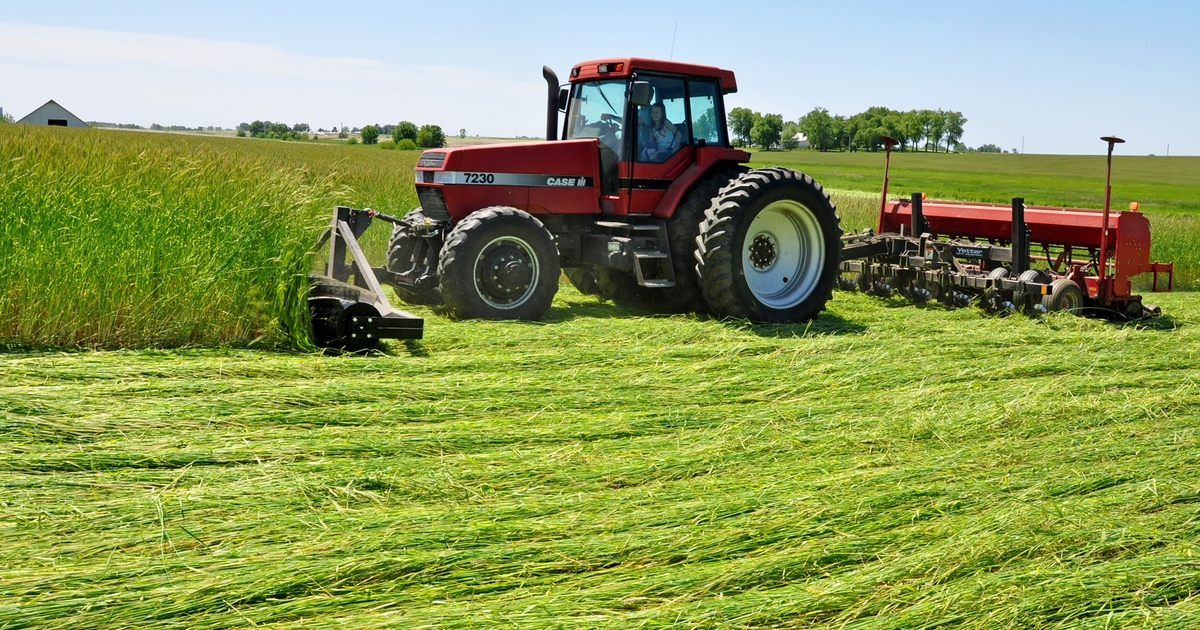 Roller crimper key in organic notill system Farm Progress